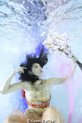 SAKURA underwater by Kyoko Sampei 